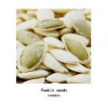 Inner Mongolia dark green pumpkin seeds AAA+